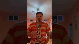 tiktok satevo cumbia cumbia el trenecito conjunto relincho [upl. by Felipa951]