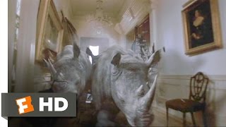 Jumanji 48 Movie CLIP  Stampede 1995 HD [upl. by Gnaig]