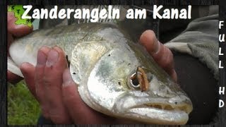 Zanderangeln am Kanal ᴴᴰ [upl. by Golter]