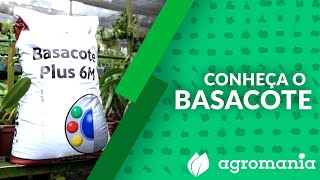 Como cultivar utilizando o fertilizante BASACOTE [upl. by Teece]