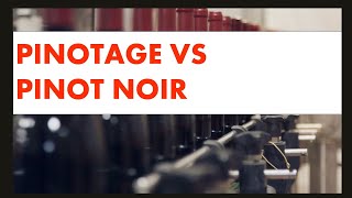 Pinotage vs Pinot Noir Whats the Difference [upl. by Marlow]