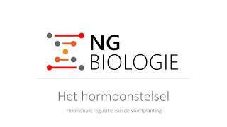 Het hormoonstelsel  hormonale regulatie van de voortplanting  HAVOVWO [upl. by Ewolram]