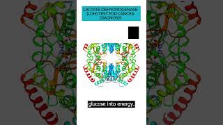 Delve into the Lactate DehydrogenaseLDH test and its role in diagnosing and monitoring cancer LDH [upl. by Eemla]