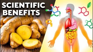 Ginger and its Vitamins Scientific Benefits for the Human Body [upl. by Honora921]