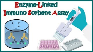 ELISA  Enzyme linked immonosorbent assay  ELISA test  Types of ELISA  Direct and Indirect ELISA [upl. by Akehsyt962]