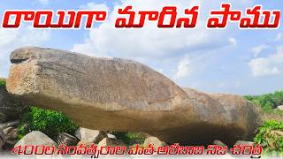 రాయిగా మారిన పాము  A serpent turned into stone  Alibaba 40Thieves Real Histry  crazymasterzon [upl. by Nnov]