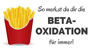 Beta Oxidation lernen amp verstehen in Rekordzeit Die besten Eselsbrücken amp Gedächtnispalast [upl. by Kusin]