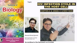 Life Cycle of HIV in CD4 Cells  Human Immunodeficiency Virus  Urdu English Hindi  Biology 2024 [upl. by Ijok]