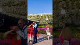 Beautiful nature flower dubaigarden love flowers park garden travel [upl. by Anire]