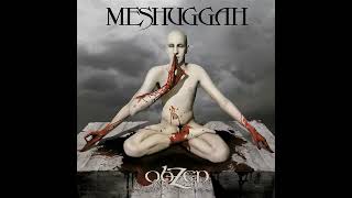 Meshuggah  Lethargica Instrumental [upl. by Meara780]