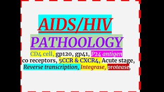 Pathology of AIDS [upl. by Lalib723]