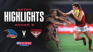 Adelaide v Essendon Highlights  Round 6 2024  AFL [upl. by Skippy]