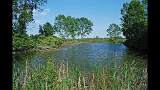 Carpfishing in primavera i laghetti irrigui e gli stagni [upl. by Ekoorb]