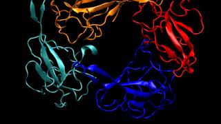 COVID3D  Nucleocapsid protein Complex [upl. by Iruj891]