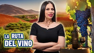 Necesitas ver este video ANTES de visitar el Valle de Guadalupe [upl. by Adnarym548]