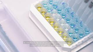 Aflatoxin M1 analysis with AOAC International PTM approved ELISA kit [upl. by Roby]