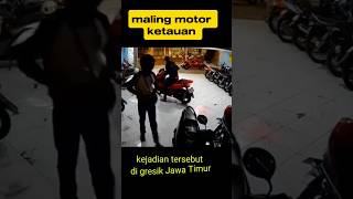 Maling motor ketauan shorts short viralvideo [upl. by Nitin]