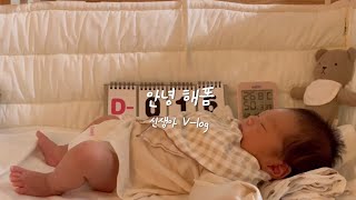 신생아Vlog3신생아15일차에서20일차 누워서 노는 해뜸인생  처음 집으로 온 날 [upl. by Leamiba]