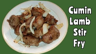 Chinese Style Cumin Lamb Stir Fry [upl. by Eilatan343]