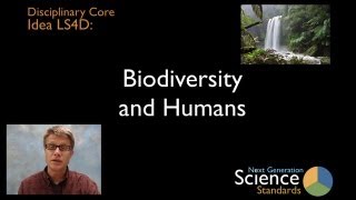 LS4D  Humans and Biodiversity [upl. by Fidela272]