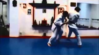 Ashihara Karate Techniques 1 [upl. by Eirrol896]