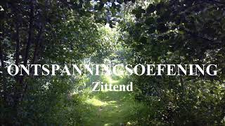 Ontspanningsoefening Zittend [upl. by Ydollem]