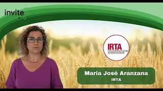 Maria José Aranzana IRTA on her organisations work in INVITE project [upl. by Sayles893]