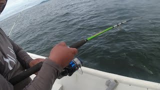 Explorando Isla Negritos Puntarenas aventura y pesca troleo y fondeo en sus aguas [upl. by Arbmahs484]