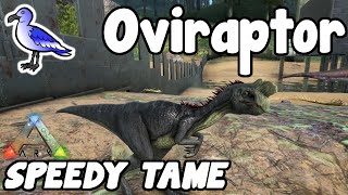 Ark Survival  How to tame an Oviraptor [upl. by Egin519]