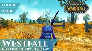 WoW Classic Westfall  Gameplay No Commentary ASMR 1 hour 4K World of Warcraft Vanilla [upl. by Dupre]