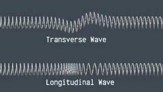 Transverse and Longitudinal Waves [upl. by Kahle30]