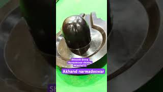 Narmadeswar shivling pradeepmishra mhadev ytshorts artist [upl. by Ahsineg]