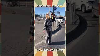 Amazing Road Crossing Fact  kannada facts karnataka amazing youtubeshorts trendingshorts [upl. by Nifares]