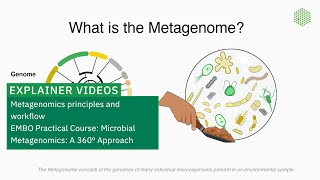 Metagenomics principles and workflow [upl. by Marley]