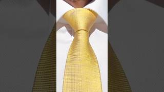 How to Tie a Tie  Easy Windsor Knot [upl. by Nylirrej906]