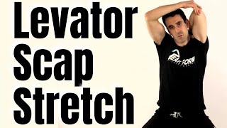 Levator Scapulae Stretch for Neck Pain Relief  San Diego Chiropractic [upl. by Forbes]