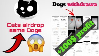 DOGS AIRDROP WITHDRAW  NEW cats airdrop same as Dogs😱😋 [upl. by Amlet]