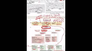 Haemolytic Anemia  General Principles [upl. by Cattima188]