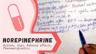 NOREPINEPHRINE  Actions Uses Pharmacokinetics adverse effects PHARMACOLOGY [upl. by Nicki823]