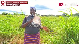 MamouDounet 🇬🇳  KUMPITAL est allé à la rencontre de Mariama Ciré CAMARA agricultricegérante de [upl. by Garibold]