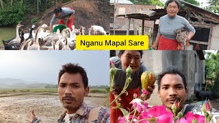 Nganu Mapal Sare Endomchgi Thabaksidi Meinihe [upl. by Ateikan]