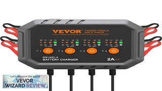 VEVOR Smart Battery Charger 8Amp LiFePO4 LeadAcid AGM  Gel  SLA Review [upl. by Ednalrym539]