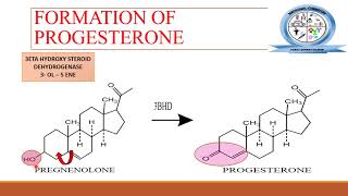 BIOSYNTHESIS OF STEROID HORMONES  Steroids  MEDICINAL CHEMISTRY [upl. by Ahsienroc280]