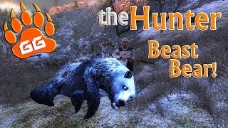 theHunter Beast Bear [upl. by Lefton]