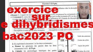 exercice sur le dihybridismebac2023 PC [upl. by Anitsud]