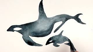 Chromatek Aqua Pens Orca Speed Paint Online Video Tutorials and Downloadable Template [upl. by Ezmeralda439]