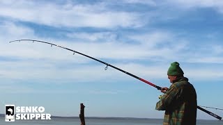 WHY should you use a RIDICULOUSLY Long Fishing Rod [upl. by Arimak]