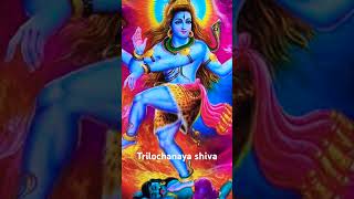 Nagendra trilochanaya shivaya 🙏🙏💰 divetiona song ohm namo shivaya vugra rupam natyam song [upl. by Weiman]