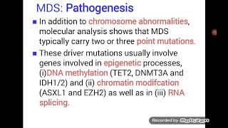 Myelodysplastic Syndrome  MDS [upl. by Engedus]