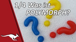 Polymorph 14 Was ist Polymorph [upl. by Aseiram453]